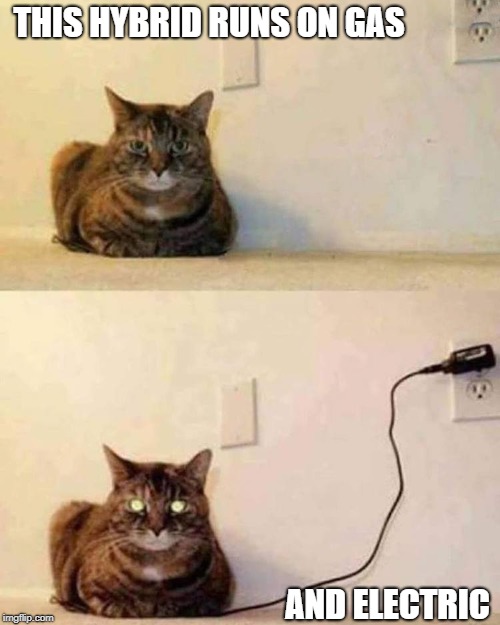 New Feline Technology | THIS HYBRID RUNS ON GAS; AND ELECTRIC | image tagged in memes | made w/ Imgflip meme maker