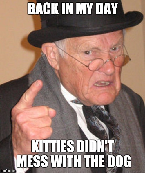 BACK IN MY DAY KITTIES DIDN'T MESS WITH THE DOG | made w/ Imgflip meme maker