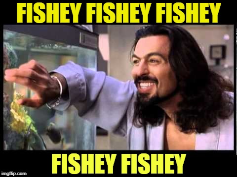 Fishey fishey fishey fishey | FISHEY FISHEY FISHEY; FISHEY FISHEY | image tagged in fishey jigalo bigalow,gina2,gigalos get lonely too,jsnug to the meme up memers,meme us out of here | made w/ Imgflip meme maker