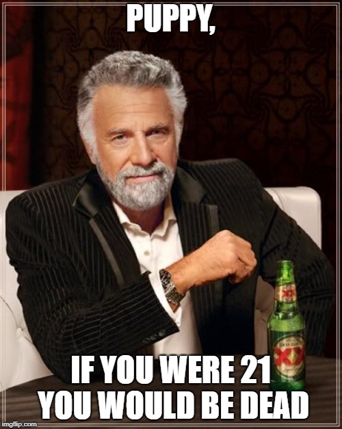 The Most Interesting Man In The World Meme | PUPPY, IF YOU WERE 21 YOU WOULD BE DEAD | image tagged in memes,the most interesting man in the world | made w/ Imgflip meme maker