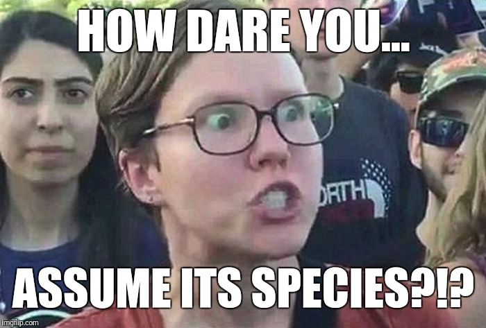 Triggered Liberal | HOW DARE YOU... ASSUME ITS SPECIES?!? | image tagged in triggered liberal | made w/ Imgflip meme maker