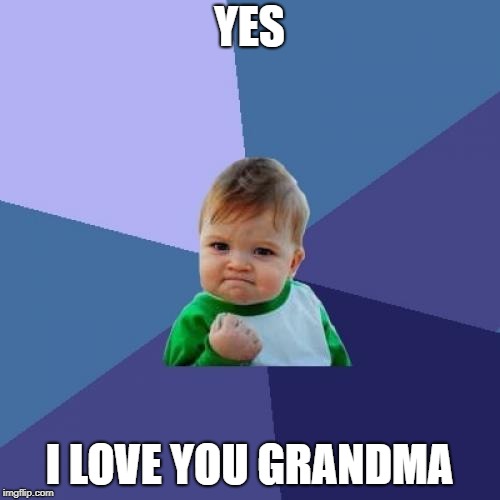 Success Kid Meme | YES I LOVE YOU GRANDMA | image tagged in memes,success kid | made w/ Imgflip meme maker