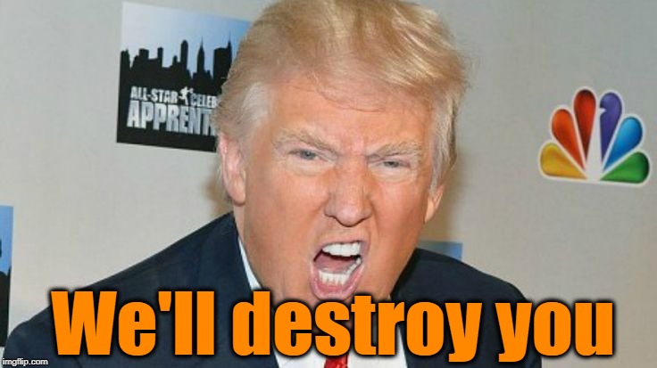 We'll destroy you | image tagged in trump mad | made w/ Imgflip meme maker