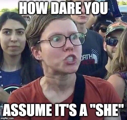 foggy | HOW DARE YOU ASSUME IT'S A "SHE" | image tagged in triggered feminist | made w/ Imgflip meme maker