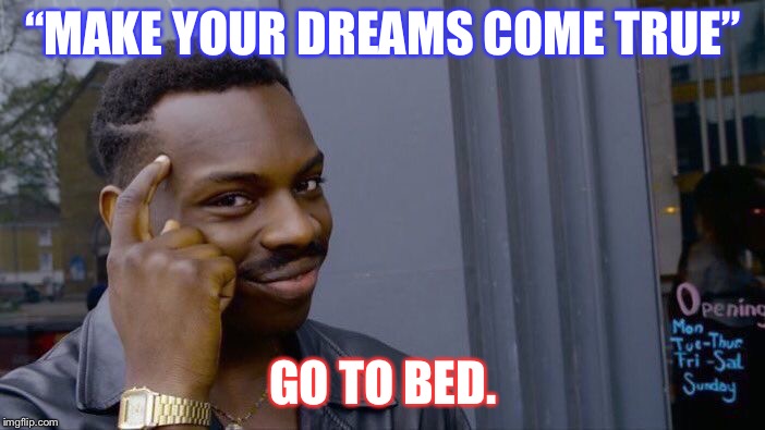 Sleeping=good | “MAKE YOUR DREAMS COME TRUE”; GO TO BED. | image tagged in memes,roll safe think about it,animals,comedy | made w/ Imgflip meme maker