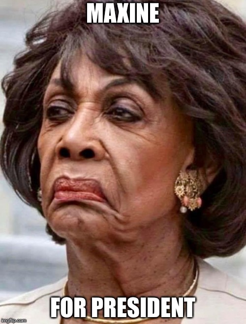 Maxine Waters | MAXINE; FOR PRESIDENT | image tagged in maxine waters | made w/ Imgflip meme maker