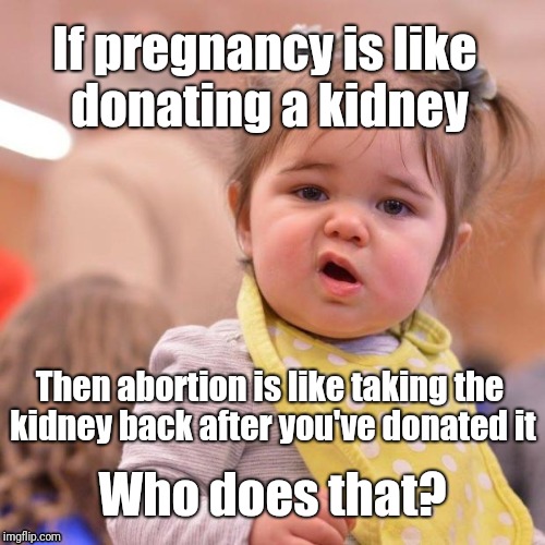 Baby Huh? | If pregnancy is like donating a kidney; Then abortion is like taking the kidney back after you've donated it; Who does that? | image tagged in baby huh | made w/ Imgflip meme maker