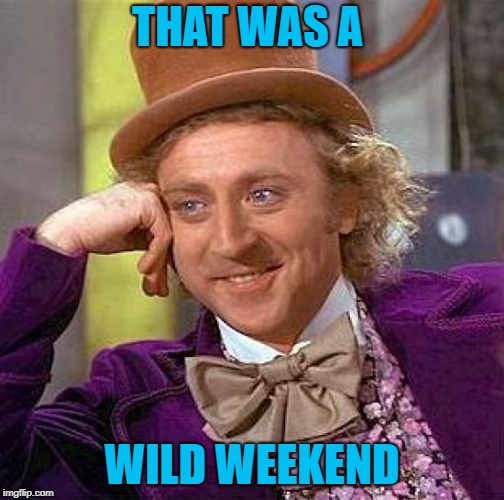 Creepy Condescending Wonka Meme | THAT WAS A WILD WEEKEND | image tagged in memes,creepy condescending wonka | made w/ Imgflip meme maker