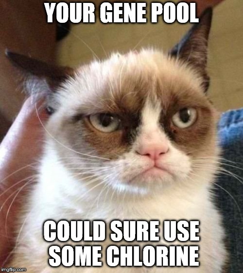 Grumpy Cat Reverse |  YOUR GENE POOL; COULD SURE USE SOME CHLORINE | image tagged in memes,grumpy cat reverse,grumpy cat | made w/ Imgflip meme maker