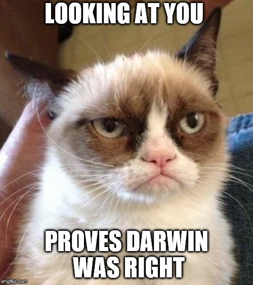 Grumpy Cat Reverse | LOOKING AT YOU; PROVES DARWIN WAS RIGHT | image tagged in memes,grumpy cat reverse,grumpy cat | made w/ Imgflip meme maker