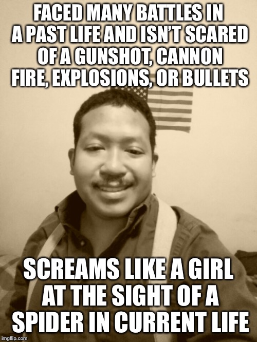 Past Life Pete | FACED MANY BATTLES IN A PAST LIFE AND ISN’T SCARED OF A GUNSHOT, CANNON FIRE, EXPLOSIONS, OR BULLETS; SCREAMS LIKE A GIRL AT THE SIGHT OF A SPIDER IN CURRENT LIFE | image tagged in past life pete | made w/ Imgflip meme maker