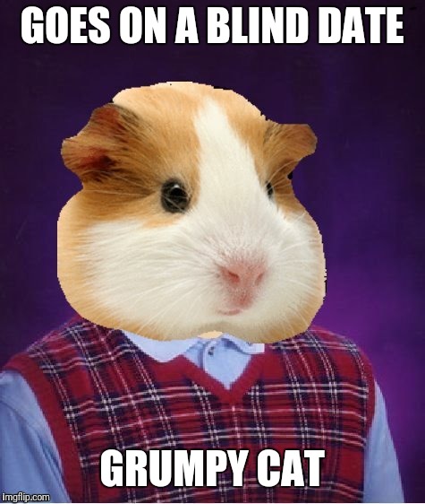 Hamster weekend. July 6-8.  | GOES ON A BLIND DATE; GRUMPY CAT | image tagged in memes | made w/ Imgflip meme maker