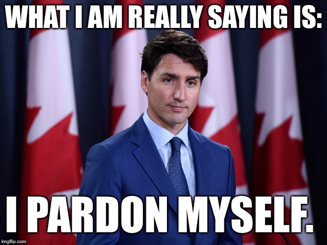 WHAT I AM REALLY SAYING IS:; I PARDON MYSELF. | made w/ Imgflip meme maker