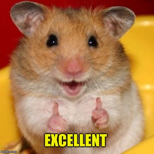 Two Thumbs Up | EXCELLENT | image tagged in two thumbs up | made w/ Imgflip meme maker