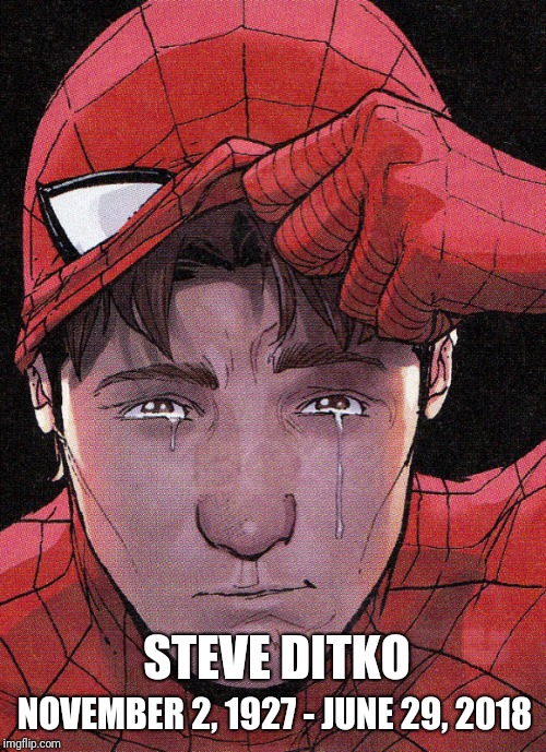 RIP Steve Ditko | STEVE DITKO; NOVEMBER 2, 1927 - JUNE 29, 2018 | image tagged in spiderman,rip | made w/ Imgflip meme maker