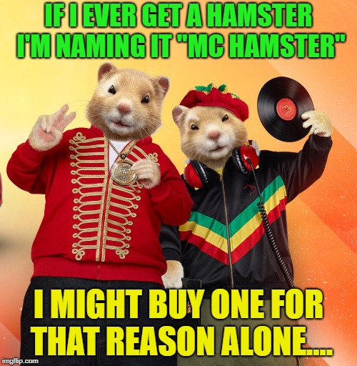Hamster Weekend | IF I EVER GET A HAMSTER I'M NAMING IT "MC HAMSTER"; I MIGHT BUY ONE FOR THAT REASON ALONE.... | image tagged in hamster weekend | made w/ Imgflip meme maker