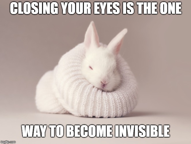 Pro Rabbit | CLOSING YOUR EYES IS THE ONE; WAY TO BECOME INVISIBLE | image tagged in hmmm | made w/ Imgflip meme maker