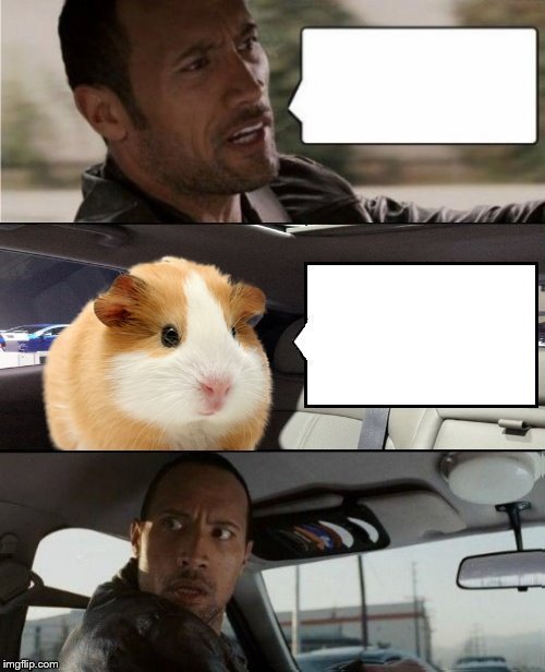 The Rock and Hammy Blank Meme Template