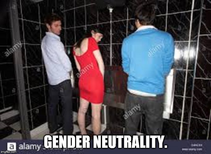 GENDER NEUTRALITY. | image tagged in men and women at urianl | made w/ Imgflip meme maker