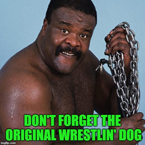 DON'T FORGET THE ORIGINAL WRESTLIN' DOG | made w/ Imgflip meme maker