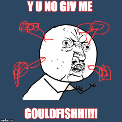 Y U No | Y U NO GIV ME; GOULDFISHH!!!! | image tagged in memes,y u no | made w/ Imgflip meme maker
