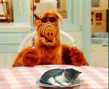 High Quality Alf and Cat Blank Meme Template