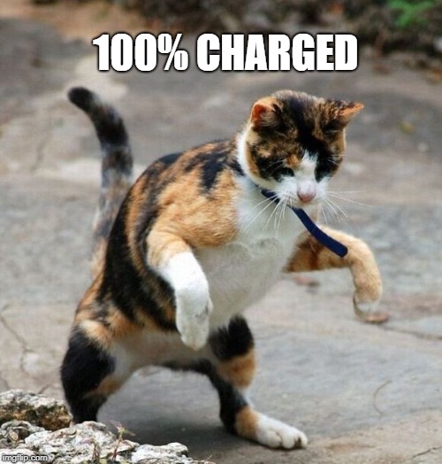 100% CHARGED | made w/ Imgflip meme maker