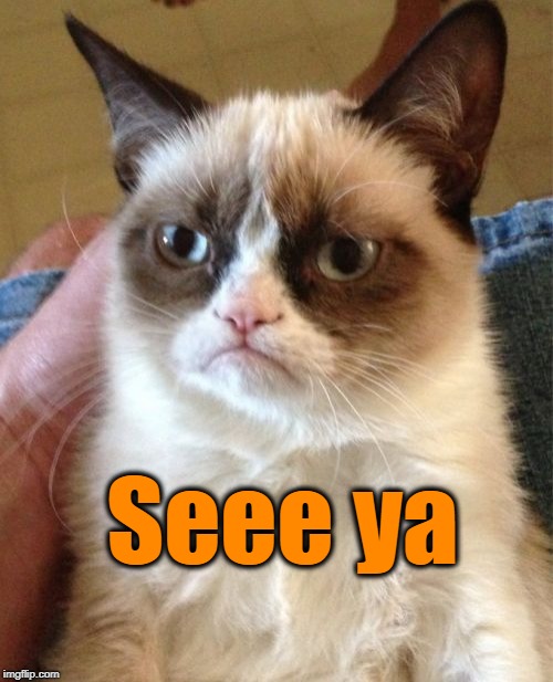 Grumpy Cat Meme | Seee ya | image tagged in memes,grumpy cat | made w/ Imgflip meme maker