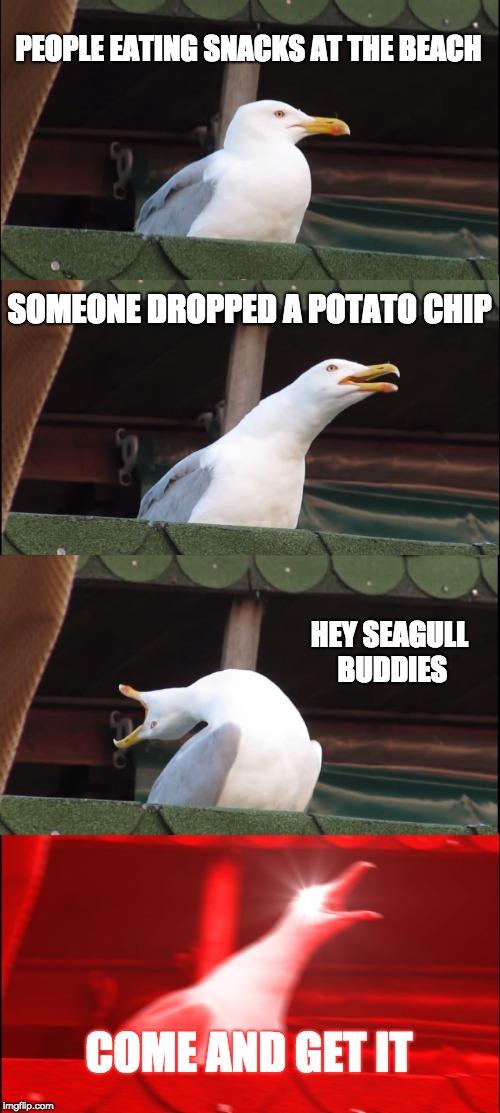 Inhaling Seagull Meme | PEOPLE EATING SNACKS AT THE BEACH; SOMEONE DROPPED A POTATO CHIP; HEY SEAGULL BUDDIES; COME AND GET IT | image tagged in memes,inhaling seagull | made w/ Imgflip meme maker