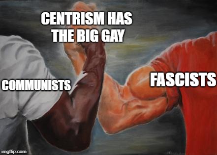 How to fix polarization | CENTRISM HAS THE BIG GAY; FASCISTS; COMMUNISTS | image tagged in political meme | made w/ Imgflip meme maker