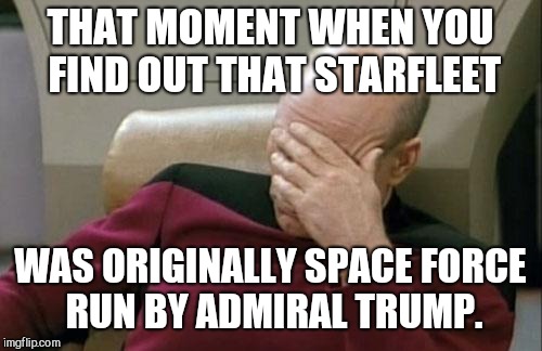 Trump Trek? | THAT MOMENT WHEN YOU FIND OUT THAT STARFLEET; WAS ORIGINALLY SPACE FORCE RUN BY ADMIRAL TRUMP. | image tagged in memes,captain picard facepalm,donald trump,star trek,space force | made w/ Imgflip meme maker