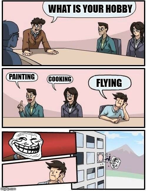 WHAT IS YOUR HOBBY; PAINTING; COOKING; FLYING | image tagged in memes,boardroom meeting suggestion | made w/ Imgflip meme maker