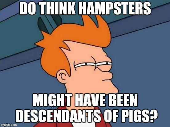 Futurama Fry | DO THINK HAMPSTERS; MIGHT HAVE BEEN DESCENDANTS OF PIGS? | image tagged in memes,futurama fry | made w/ Imgflip meme maker