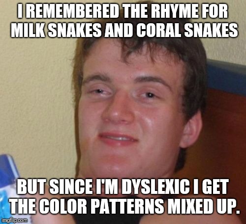 Seriously though I'd probably pick up and get bitten by a coral snake thinking it's a milk snake. |  I REMEMBERED THE RHYME FOR MILK SNAKES AND CORAL SNAKES; BUT SINCE I'M DYSLEXIC I GET THE COLOR PATTERNS MIXED UP. | image tagged in memes,10 guy | made w/ Imgflip meme maker