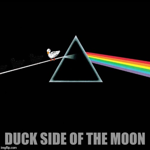 Welcome to the Machine |  DUCK SIDE OF THE MOON | image tagged in pink floyd,duck,dark side of the moon | made w/ Imgflip meme maker