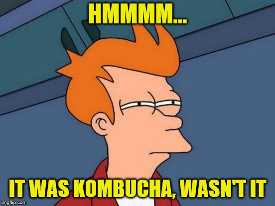 Futurama Fry Meme | HMMMM... IT WAS KOMBUCHA, WASN'T IT | image tagged in memes,futurama fry | made w/ Imgflip meme maker