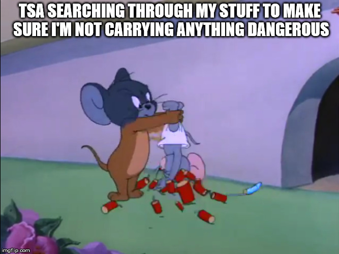 TSA SEARCHING THROUGH MY STUFF TO MAKE SURE I'M NOT CARRYING ANYTHING DANGEROUS | image tagged in tom and jerry,tsa | made w/ Imgflip meme maker