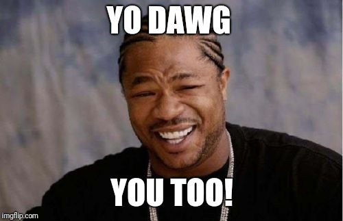 Yo Dawg Heard You Meme | YO DAWG YOU TOO! | image tagged in memes,yo dawg heard you | made w/ Imgflip meme maker