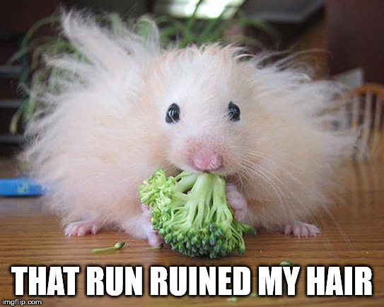 THAT RUN RUINED MY HAIR | made w/ Imgflip meme maker