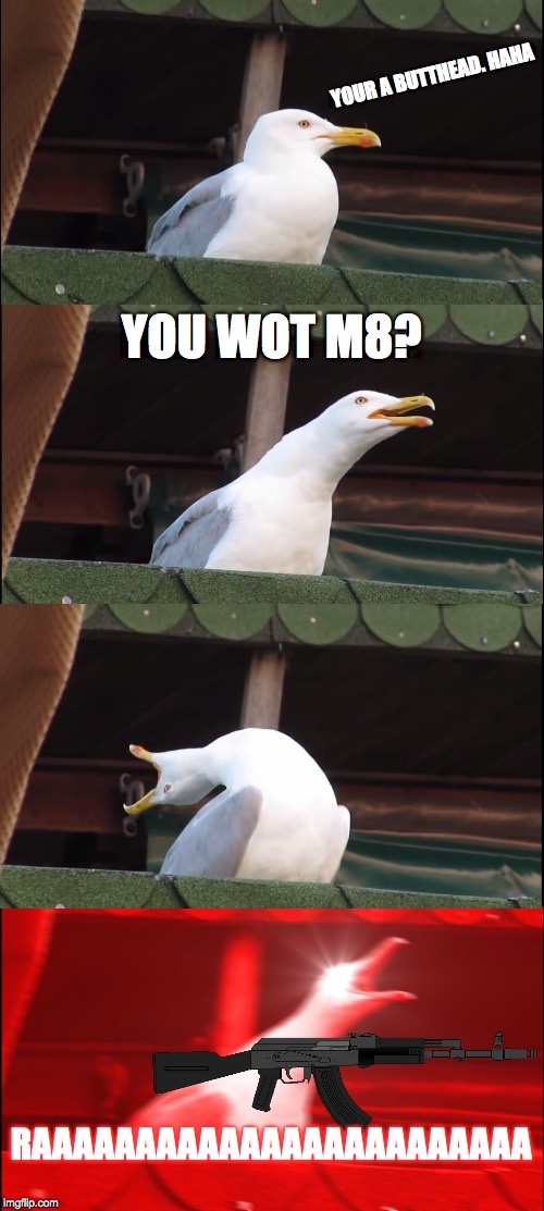 What Happens When You Insult A Seagull | YOUR A BUTTHEAD. HAHA; YOU WOT M8? RAAAAAAAAAAAAAAAAAAAAAAAA | image tagged in memes,inhaling seagull | made w/ Imgflip meme maker