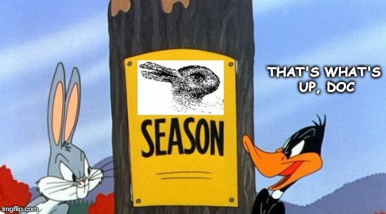 Daffy's Revenge | THAT'S WHAT'S UP, DOC | image tagged in bugs bunny,daffy duck,hunting season,optical illusion | made w/ Imgflip meme maker