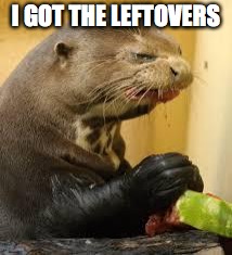 Disgusted Otter | I GOT THE LEFTOVERS | image tagged in disgusted otter | made w/ Imgflip meme maker