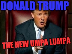 Donald Trump | DONALD TRUMP; THE NEW UMPA LUMPA | image tagged in donald trump | made w/ Imgflip meme maker