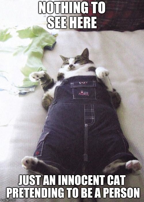 Fat Cat | NOTHING TO SEE HERE; JUST AN INNOCENT CAT PRETENDING TO BE A PERSON | image tagged in memes,fat cat | made w/ Imgflip meme maker