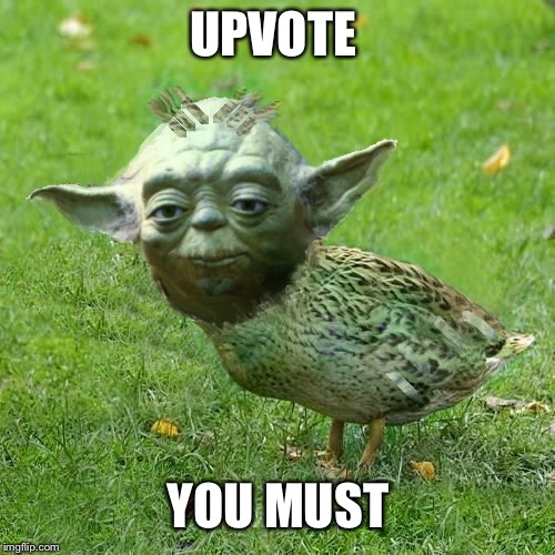 Yoda Duck | UPVOTE; YOU MUST | image tagged in yoda duck | made w/ Imgflip meme maker