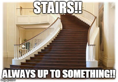 STAIRS!! ALWAYS UP TO SOMETHING!! | image tagged in fancy stairs | made w/ Imgflip meme maker