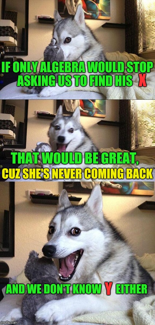 That Would Be Great Bad Pun Dog | IF ONLY ALGEBRA WOULD STOP ASKING US TO FIND HIS; X; THAT WOULD BE GREAT, CUZ SHE'S NEVER COMING BACK; Y; AND WE DON'T KNOW       EITHER | image tagged in memes,bad pun dog | made w/ Imgflip meme maker