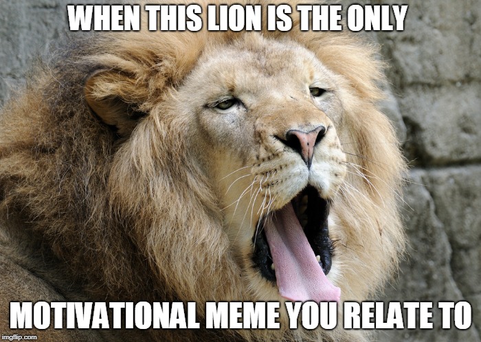 WHEN THIS LION IS THE ONLY; MOTIVATIONAL MEME YOU RELATE TO | made w/ Imgflip meme maker