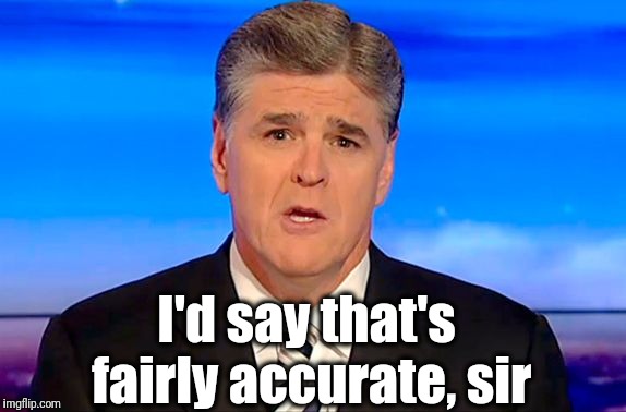 Sean Hannity Fox News | I'd say that's fairly accurate, sir | image tagged in sean hannity fox news | made w/ Imgflip meme maker