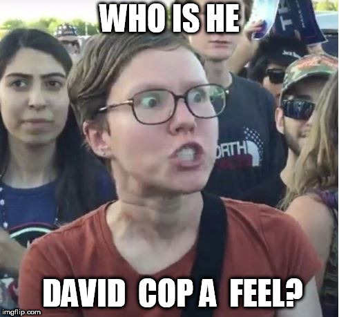 what was he tring to do  GRABBER BOOTY  and her  BLOSSOMS!   | WHO IS HE; DAVID  COP A  FEEL? | image tagged in her,boobs | made w/ Imgflip meme maker